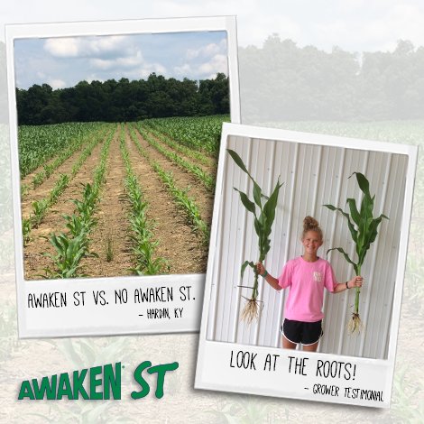 Look what we have growing in Hardin, KY! Awaken ST vs. no Awaken ST.
