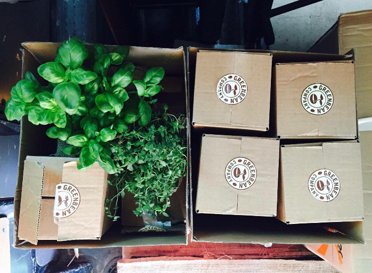 Optievo's tweet photo. Green Bean Company: Our story @greenbeanco1 @heartcoffeebean #crowdfunding #coffee #recycle https://t.co/VBqmX8EmN3 https://t.co/Bm1MRlgoq4