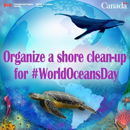 Do your part this #WorldOceansDay and participate in a beach cleanup!