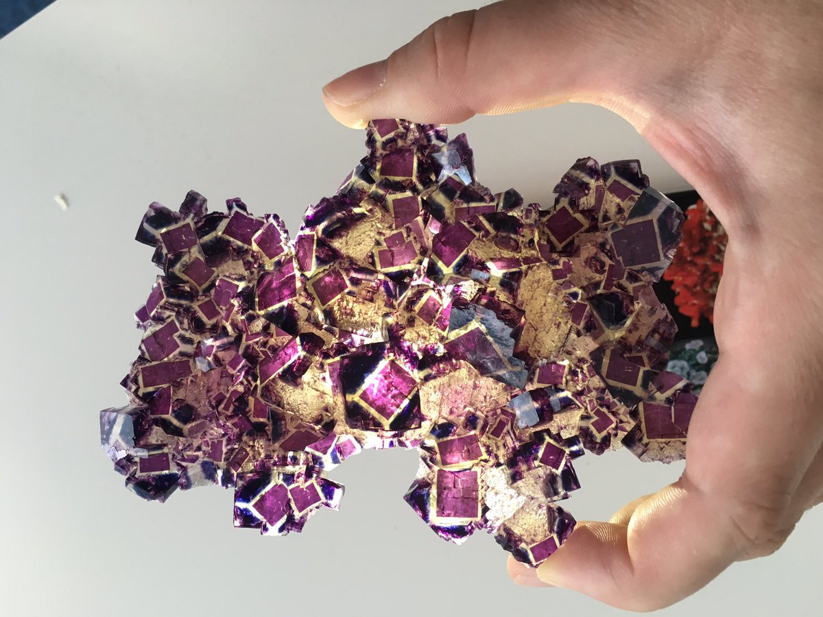 SpiriferMineral's tweet photo. Very cool fluorite from Okorusu, Namibia #mineralcollecting #minerals #mineralspecimen #spirifer https://t.co/W76uZOw7RI