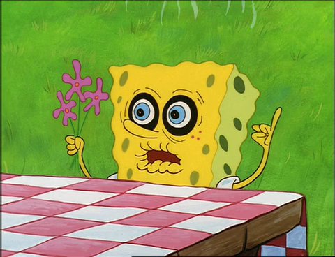 SHSULSC's tweet photo. And so we begin our summer struggle #texasweather #sunscreenisamust #SHSU #Bearkats https://t.co/7Mo8wU7iUf