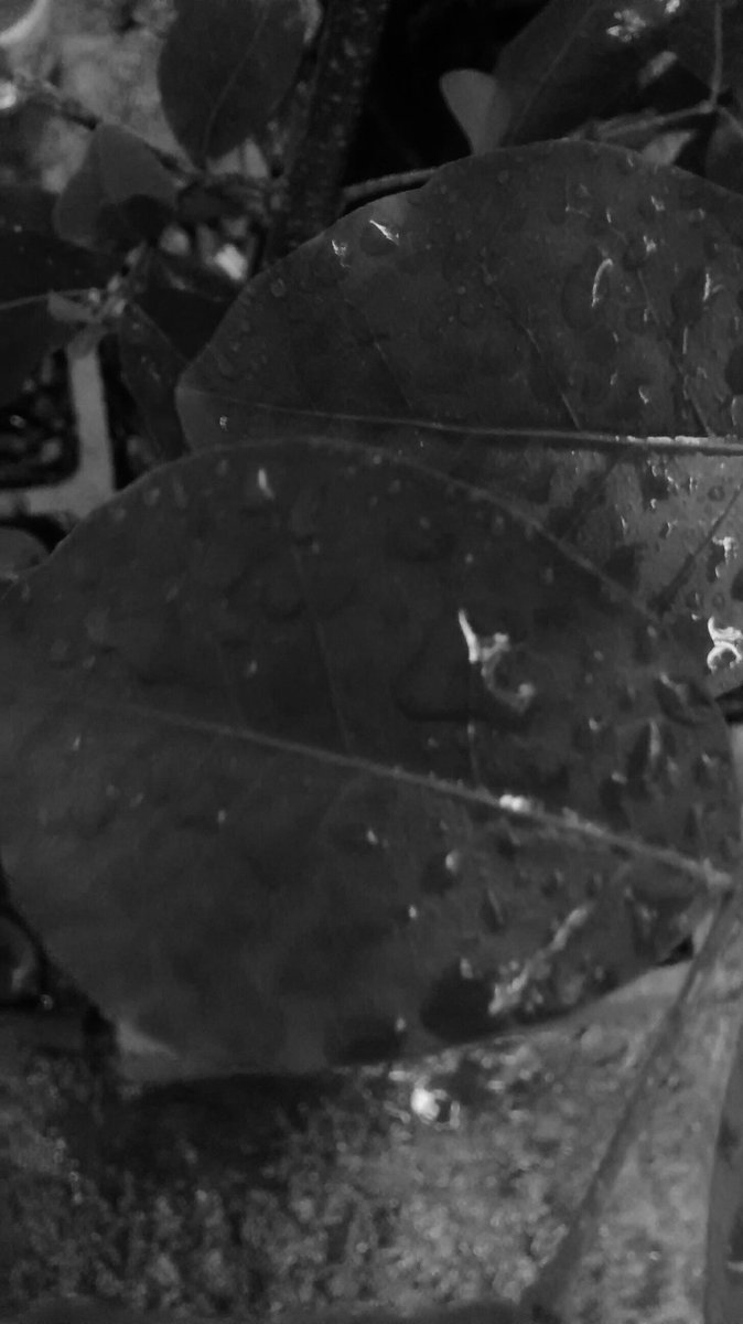 Geovannalovato1's tweet image. A drop can change your life
#lovecold