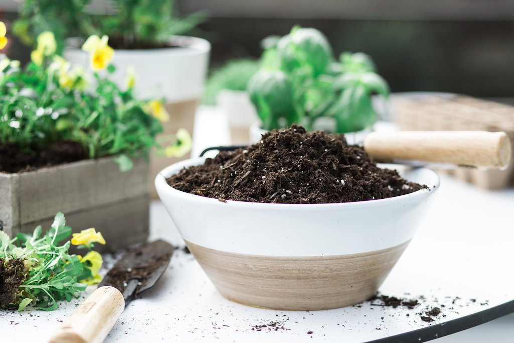 EcoScraps's tweet photo. All dirt is not created equal! Why can't you use soil from your garden in potted plants? https://t.co/ywotQe29KQ https://t.co/Pu9p1znqnF
