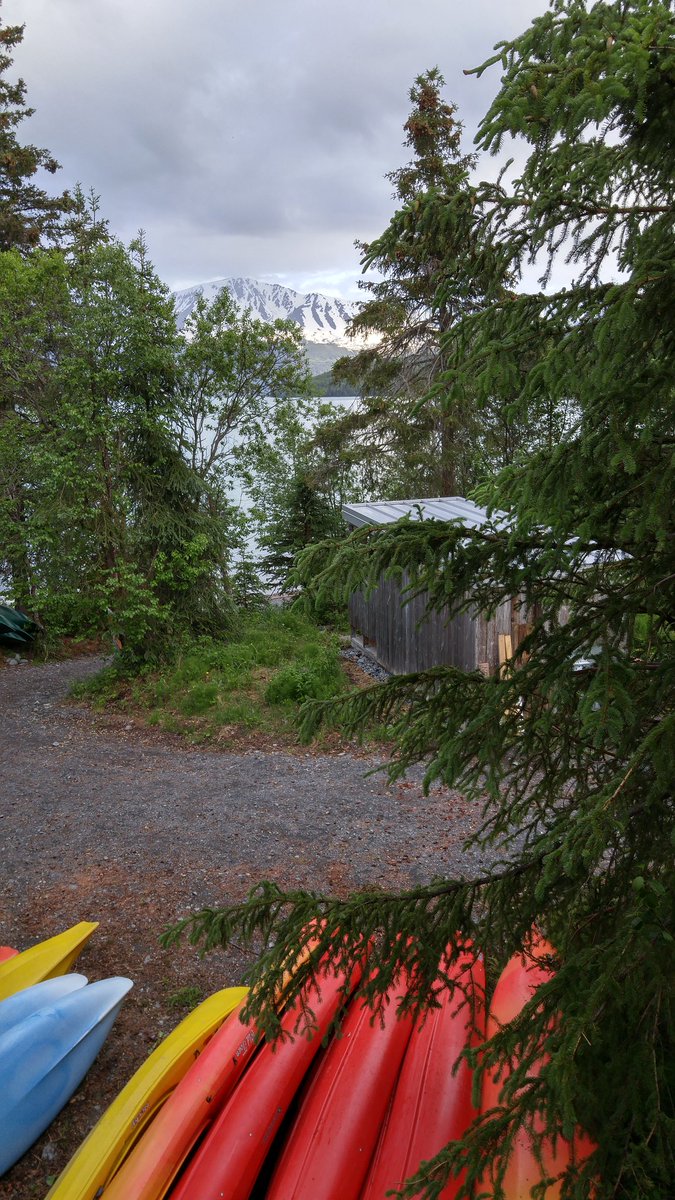 CydneyFenton's tweet photo. View over #KenaiLake at the start of #DiabetesCamp.  #Alaska #SugarKids https://t.co/ox0X3Jmyix
