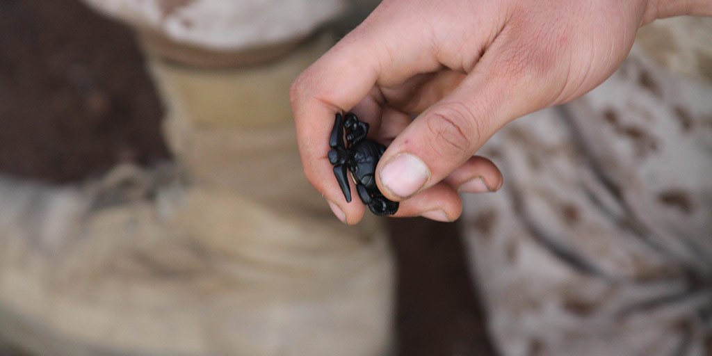 USMarineCorps's tweet photo. The decision to become a Marine and earn the Marine emblem is a commitment to pursuing the best version of yourself. https://t.co/BvqiIAdMuj
