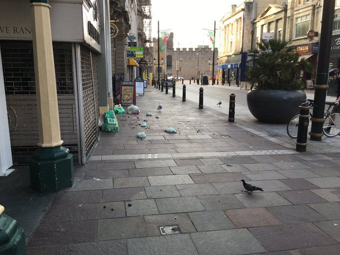 View image on Twitter