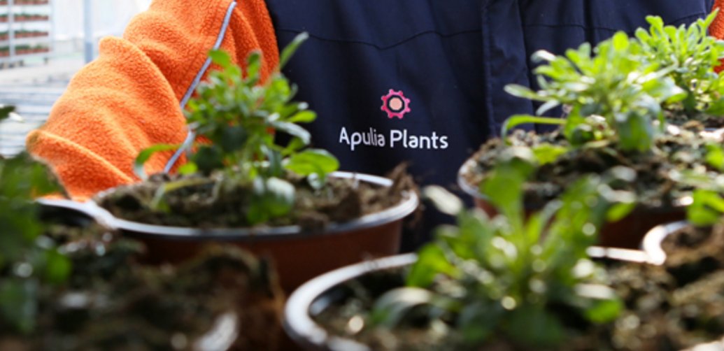 ApuliaPlants's tweet photo. La nostra impresa guarda lontano, senza mai staccare gli occhi dal passato.
https://t.co/pmW2fpiSc9 https://t.co/IQVv5ssmNO