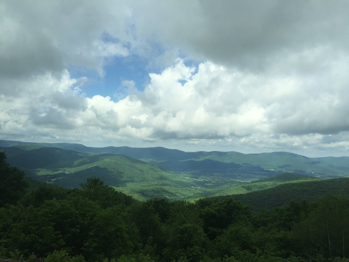 gr4learners's tweet image. We went on a #fieldtrip to Mt Greylock and went on a bugspedition and hiked to the summit -Kaedyn #MtGreylock