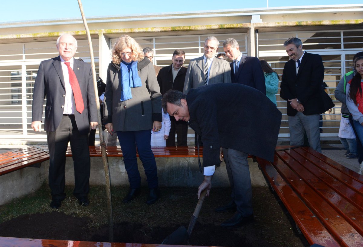 Plantación de árbol simbólico Plantación de árbol simbólico