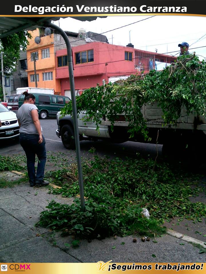 A_VCarranza's tweet image. Recolección de poda en Calles Ote. 164 y Ote. 166 Col. Moctezuma 2ª Secc y calles de Col. Ampl. Venustiano Carranza