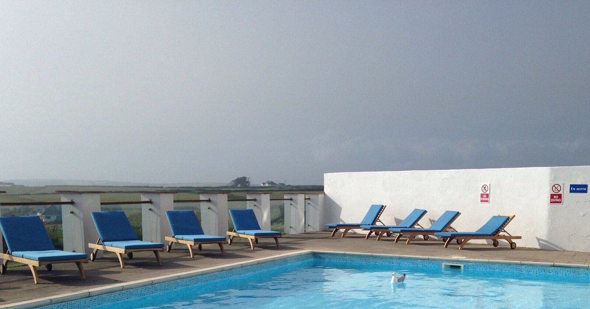 PolurrianHotel's tweet photo. Even the seagulls find the outdoor swimming pool tempting! #takeadip #swimming #cornwall #thelizardcornwall https://t.co/GBzPUtV7oA
