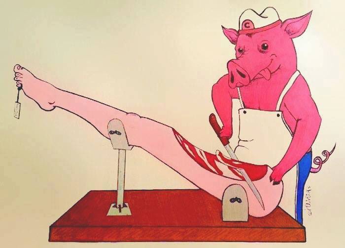 Chartres_Vegan's tweet image. Et si on inversé les rôles!? 4/4 #GoVegan