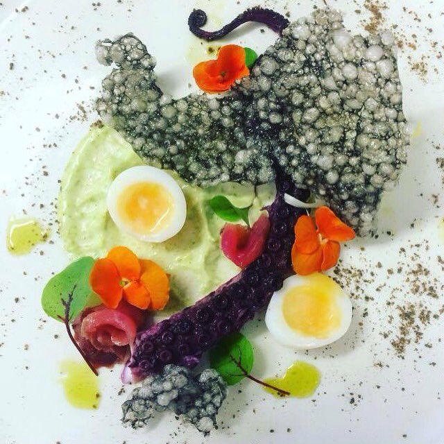 JenSankey123's tweet photo. Octopus .. https://t.co/whFAflGDRK