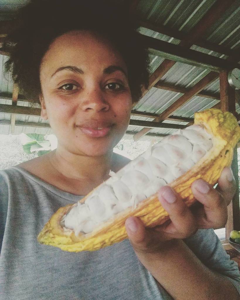 Chocolate Codex (@chocolatecodex) on Twitter photo The smug face you make when you are about to eat some fresh cacao.
#ecolechocolatecuador #ecuador #jasmine #craftc… The smug face you make when you are about to eat some fresh cacao.
#ecolechocolatecuador #ecuador #jasmine #craftc…