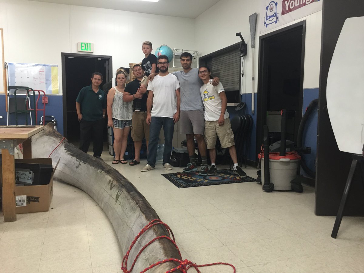 PhysicsBusWest's tweet photo. An 18ft blue whale jawbone journeyed from Pescadero this week, to the delight of Fresno @CSWNet community. https://t.co/2zqlP0p9t2