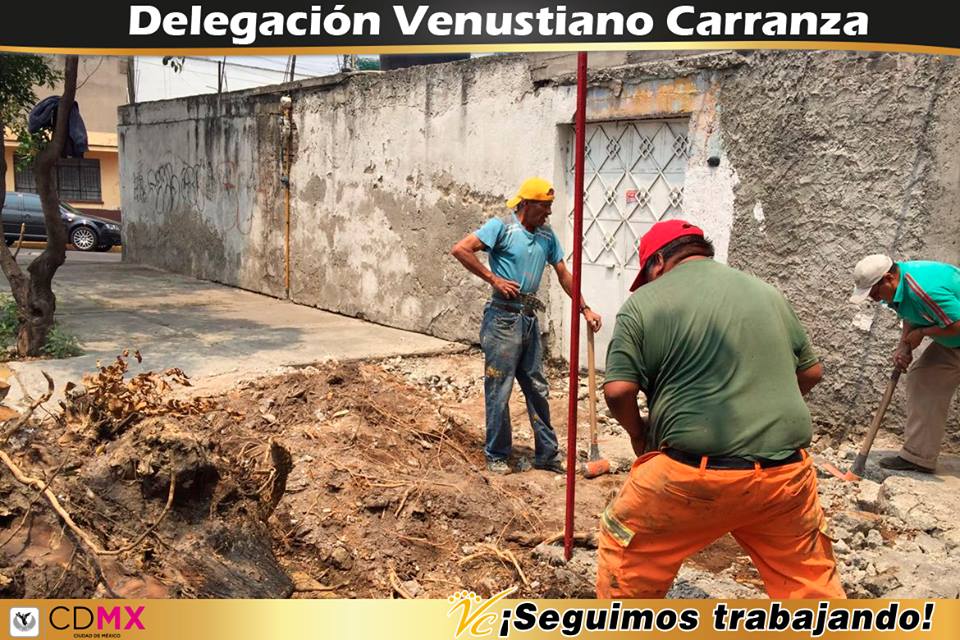 A_VCarranza's tweet image. Demoliendo banqueta en mal estado y retirando tocón en Calle  Puerto Arturo, Col. Aquiles Serdán