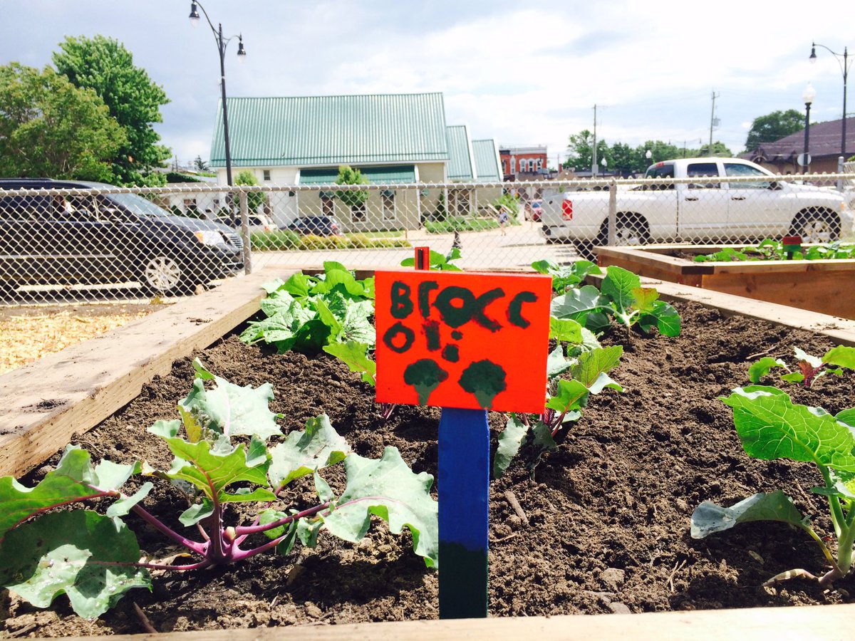 KPSgarden's tweet photo. 6B made some awesome signs so we know what is growing! This garden really is a community project! #kpsrocks https://t.co/sNiEbjYAd7