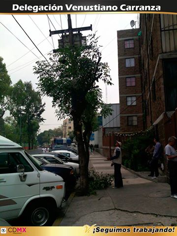 A_VCarranza's tweet image. Atendiendo a nuestros vecinos realizamos la poda de 2 árboles en Iztaccíhuatl No. 26, Col. Moctezuma 2a. Sección IV