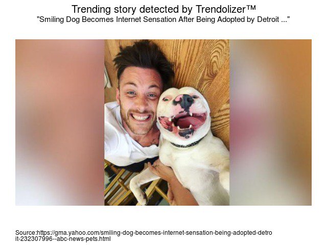 Animalolizer's tweet image. Smiling Dog Becomes #InternetSensation After Being Adopted by #Detroit Family #DanTillery animals.trendolizer.com/2016/06/smilin…