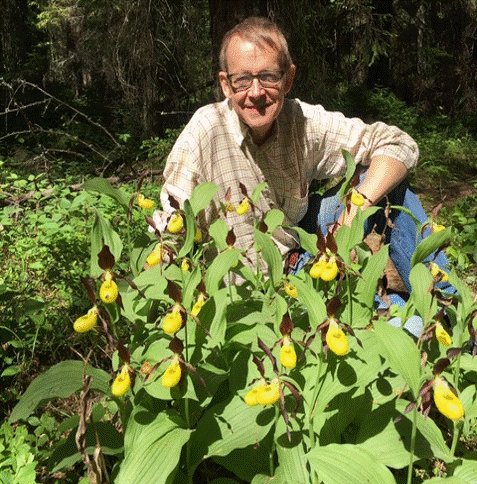 Did you know that there are beautiful orchids deep in the Swedish pine forest? If you know how to find them! 