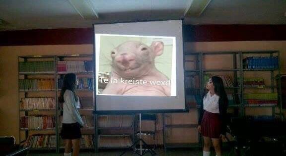 LS_AM_'s tweet image. HIJOS DE PUTA. 😂😂👊