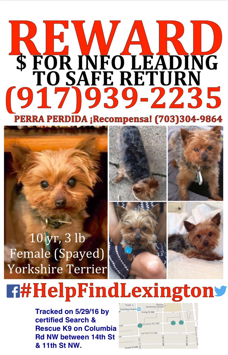 FindLexington's tweet photo. @novarunner101 Plead local news to get the word out and #HelpFindLexington @wusa9 @nbcwashington @fox5dc @ABC7News https://t.co/czVmKGU6kZ