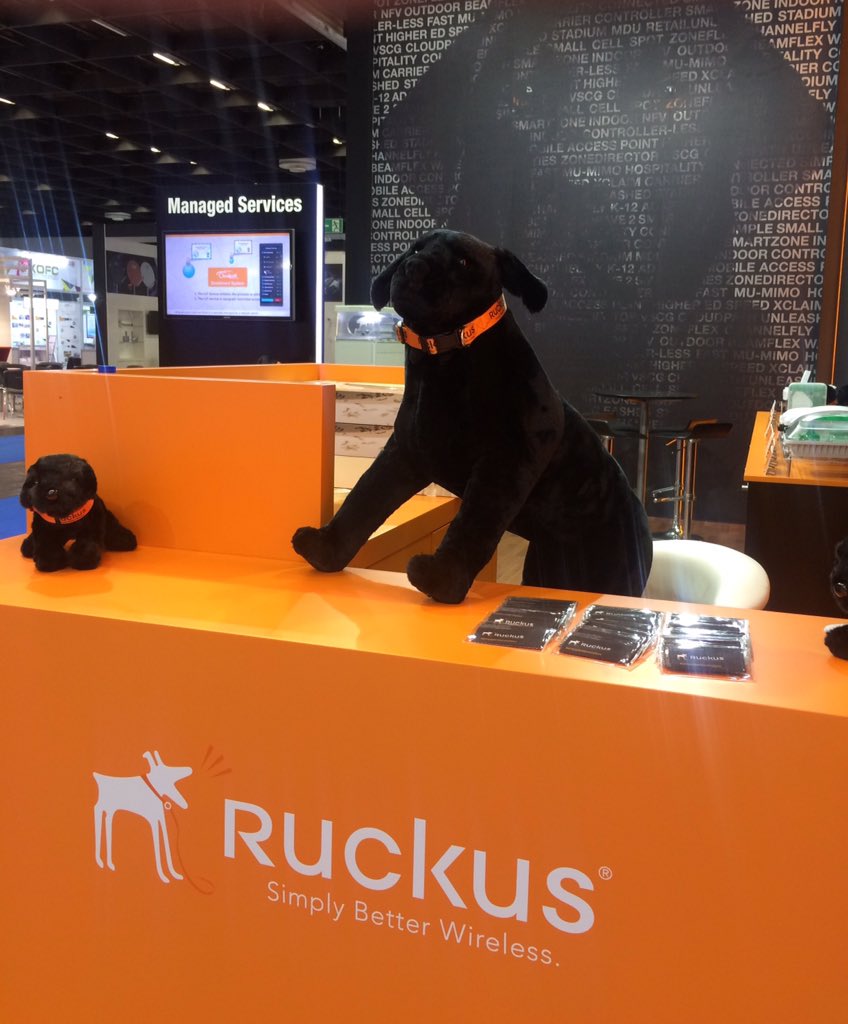 ruckusnetworks's tweet image. Ruckus the dog is ready for #ANGACOM2016!! Come see us in hall 10.2 stand D39! #ruckusevents