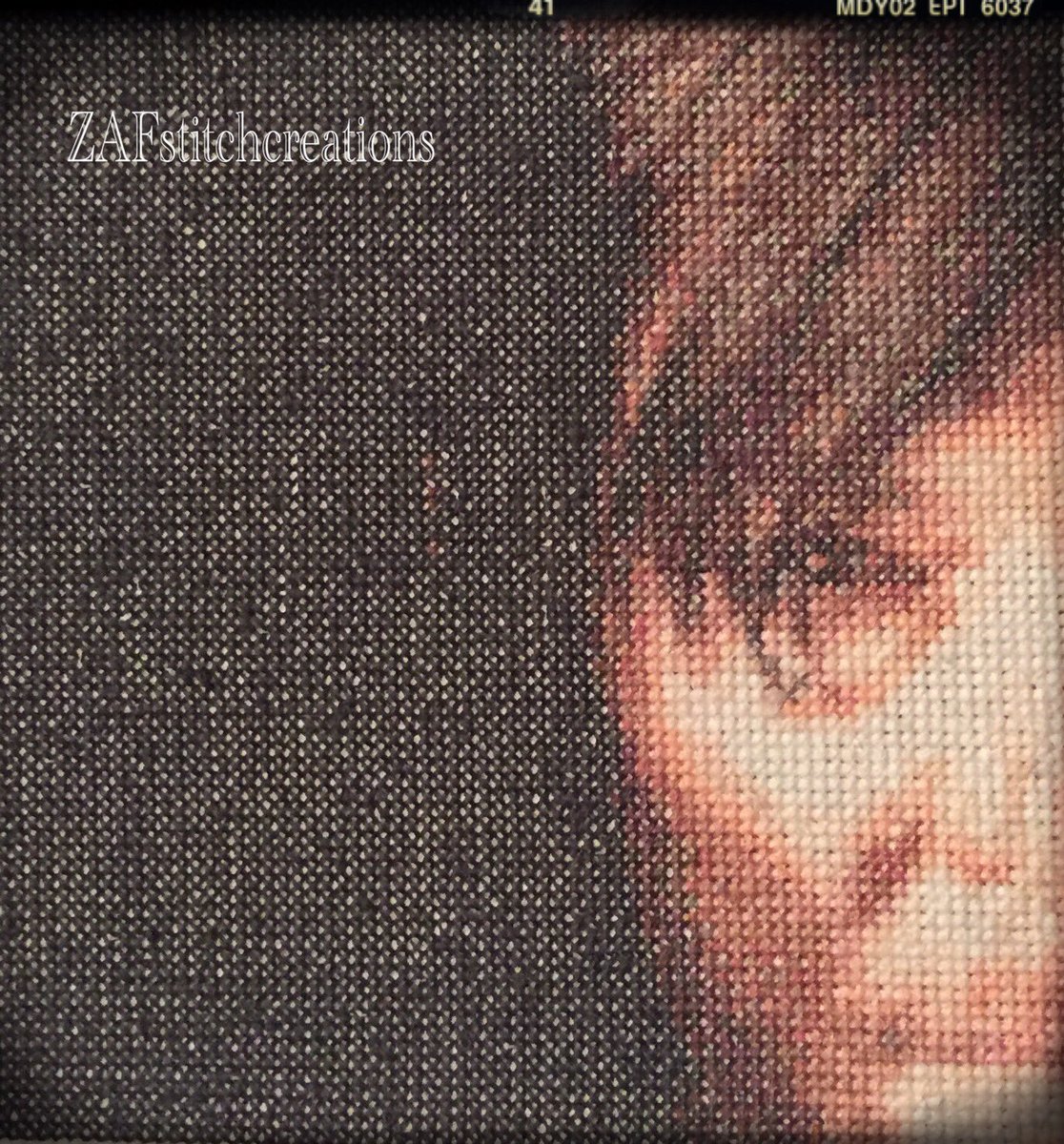 ZAFStitch's tweet photo. #crossstitch #walkingdead #DarylDixon https://t.co/PYEdRKKANg