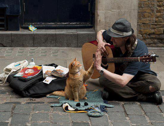 escribircancion tweet picture