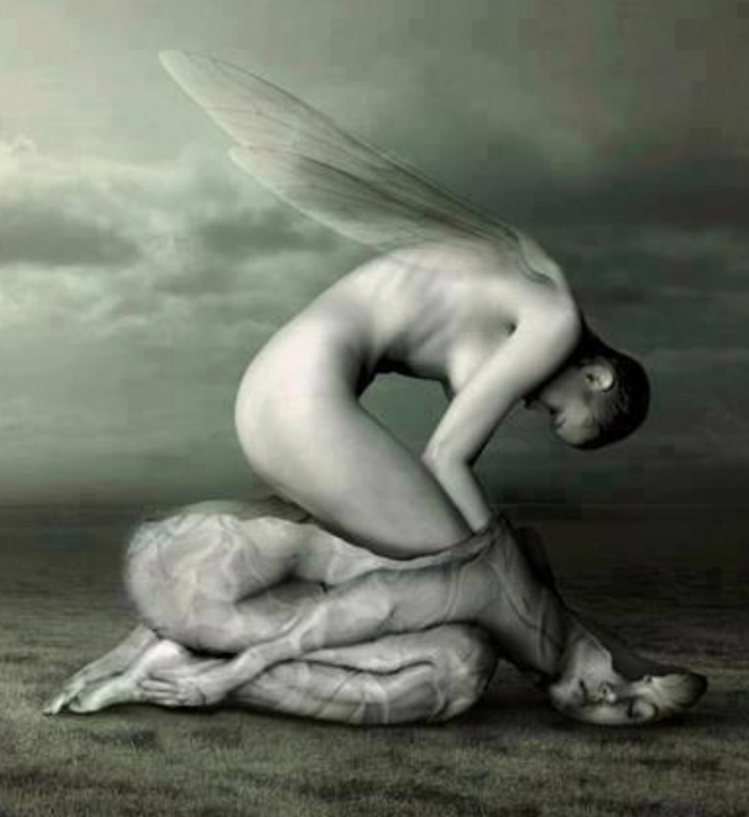 nn_Cachirula's tweet image. ¿Luego me levantas?
angel de mi misma  
piel dormida 
#ruego