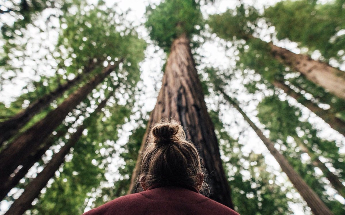 Share the Experience tweet media