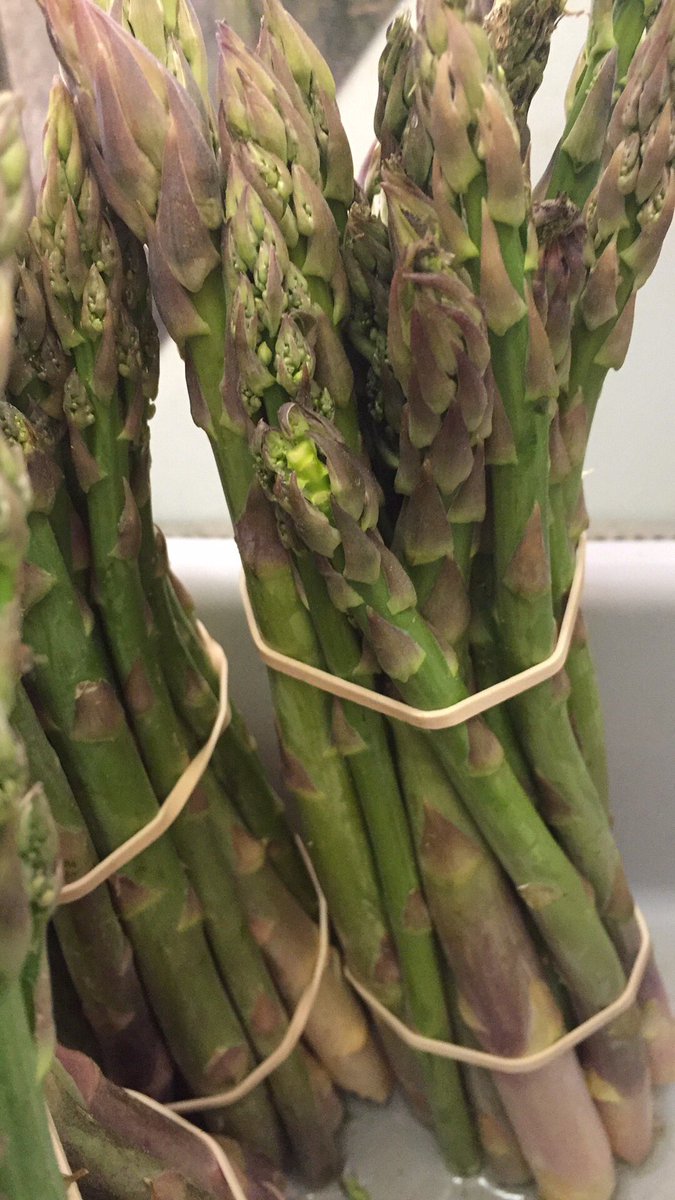 Cretinons Farmstand (@cretinonsfarm) on Twitter photo 