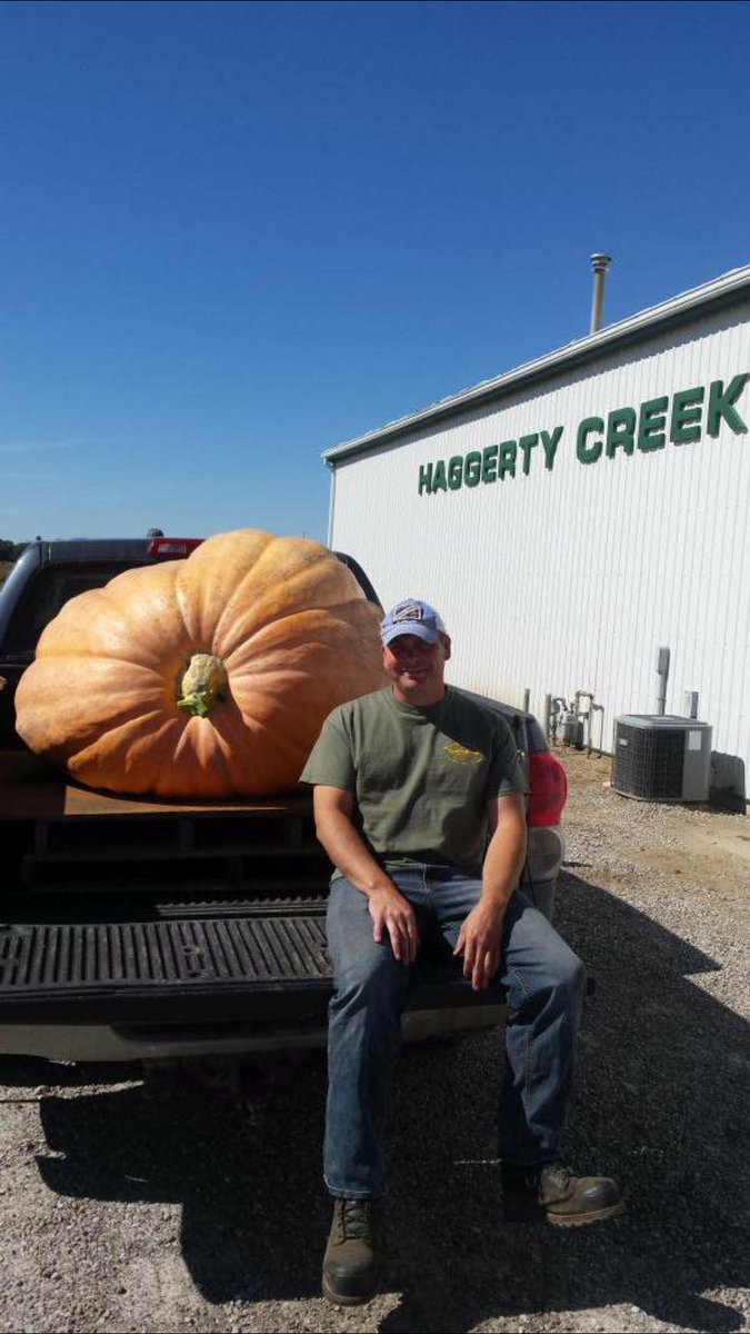 JobsonFarms's tweet photo. @jdemaiter I hear they like to eat pumpkins https://t.co/Bu8xPHDbJT