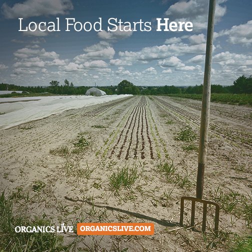 #LocalFoodWeek celebrate your #Local #Farmers!  Shout out to <a href="/CookstownGreens/">CookstownGreens</a> - Nantes Carrots #Yum! #LoveOntFood