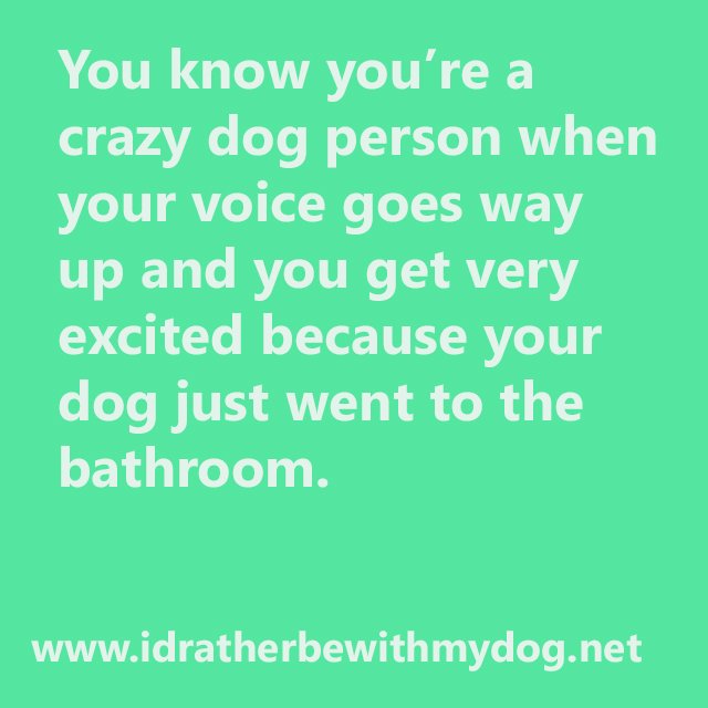 dougratner's tweet photo. You know that's the truth!! #idratherbewithmydog #irbwmd https://t.co/mcDBPPl2R5