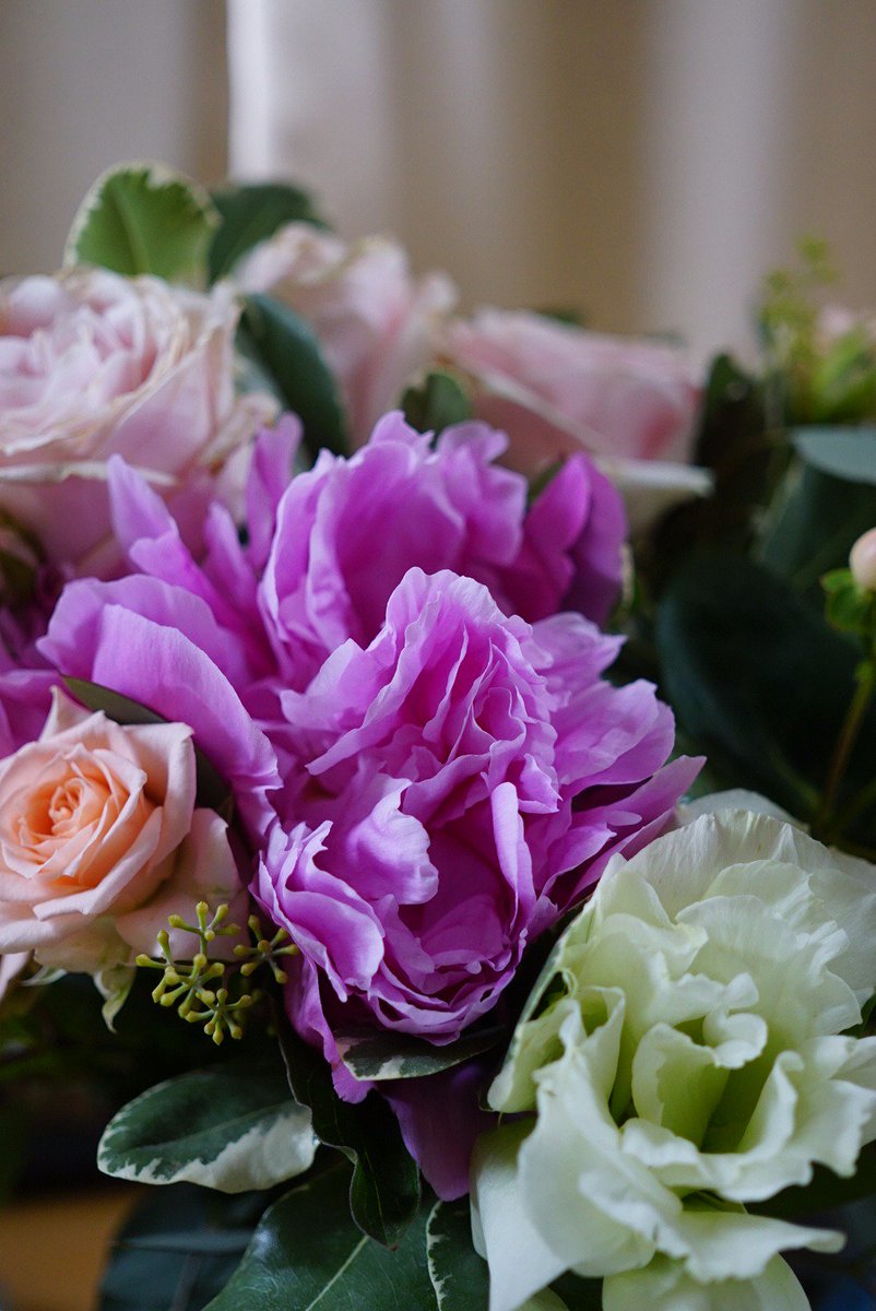 JenLowPhoto's tweet photo. Loving my gorgeous flowers by @TheBouqs from my BFF @Carolineoncrack 
Thank you so much! https://t.co/U7M3LVhCI8