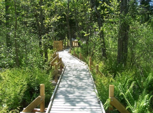 TechCrunch tweet media