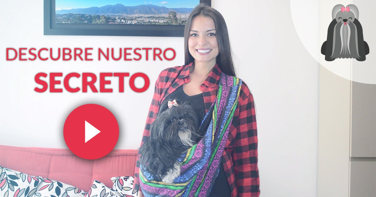 NazcaBoutique's tweet photo. Nuevo video interactivo con @somostheplayer9  y NUEVO producto! Entra ya en https://t.co/mjA1rE1Iw6 y compártelo! https://t.co/CeUiDvT4gl