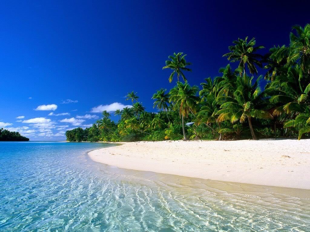 TusPlayas's tweet photo. Quieres saber más sobre el día mundial de las playas? Visita este link: https://t.co/tBdVuigNge #AmoMisPlayas https://t.co/tIyLO90iIO