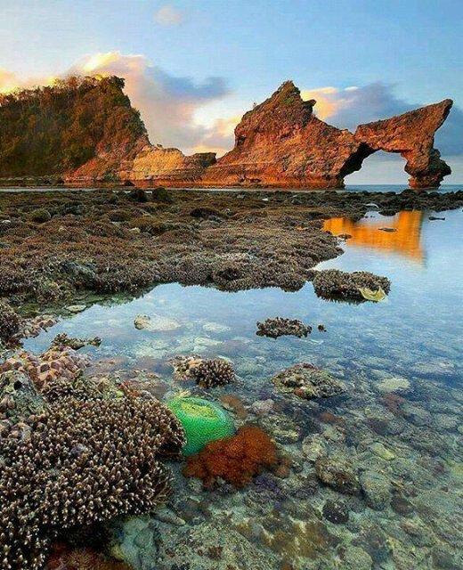 146Boby's tweet photo. @Me_Gofficial @DaisyLouTrain @Tapiolga @LavorattoT @TwiterHero @dmomd @DeisyFernan @Dutch2Haze @Jerz_Gal @xuankiet https://t.co/PUzrBoCusO