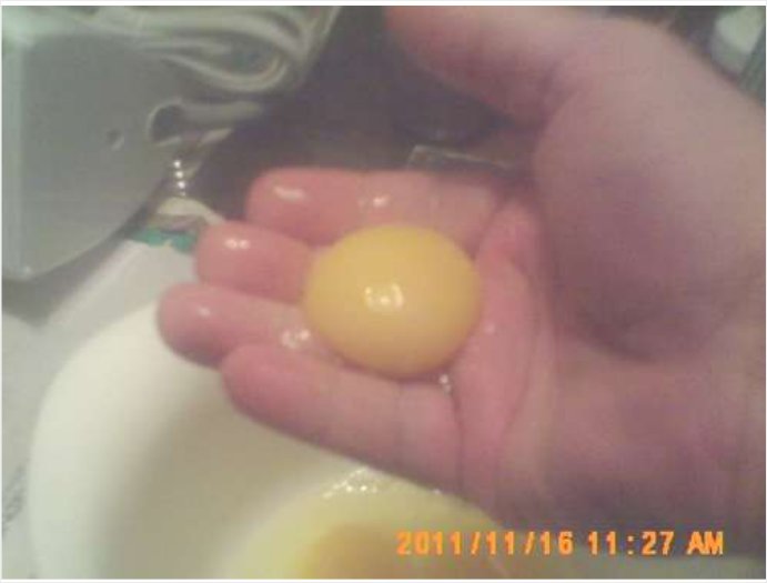 computothought's tweet image. Guess the yolk is on me.