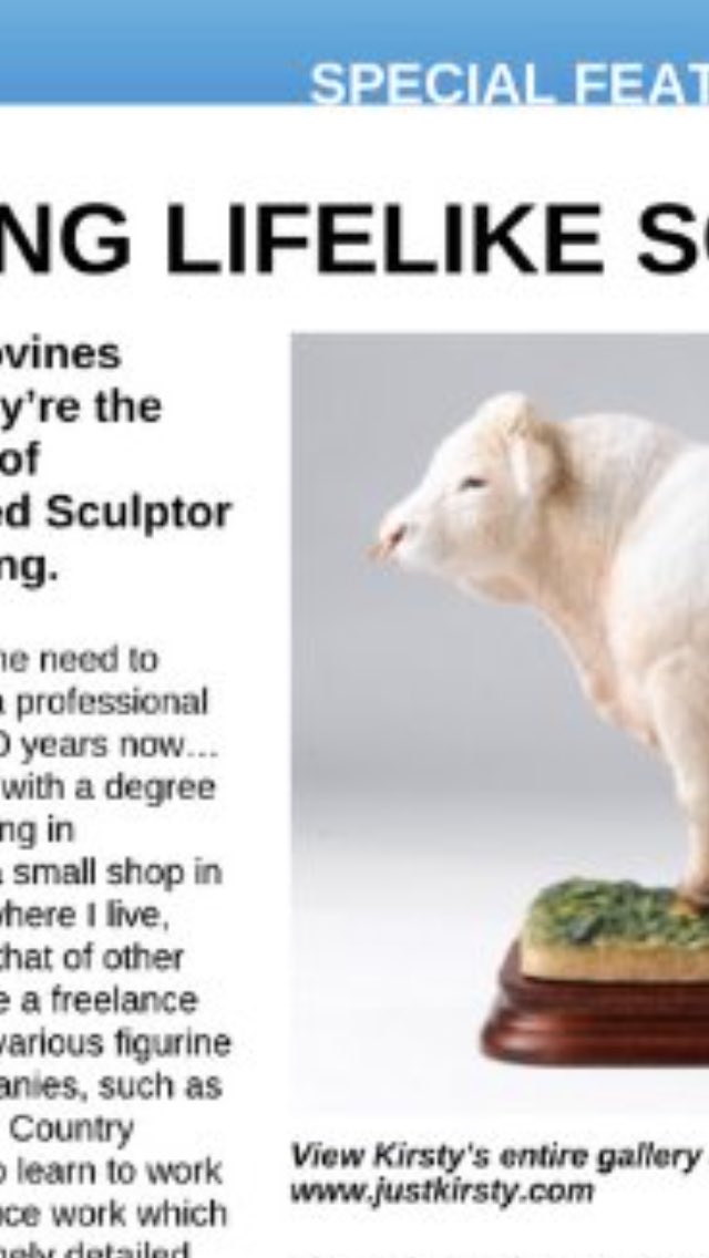 PressFarmland's tweet photo. Finished Page #10 of @FarmlandUK features @justkirsty11 🐑 #Design https://t.co/bQTanIeSBW