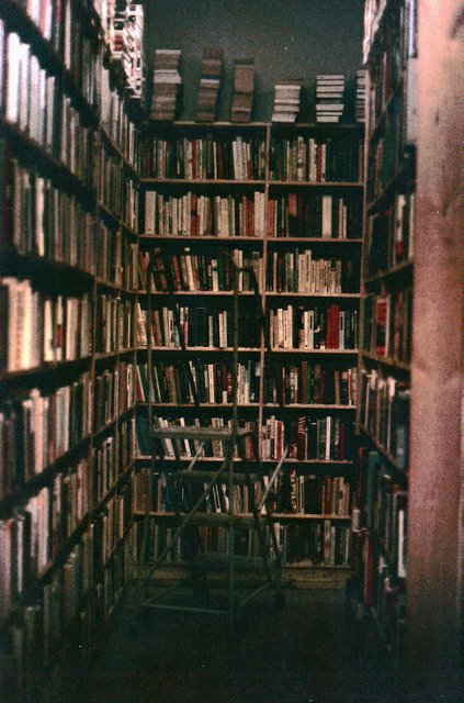 aesthetics tweet media