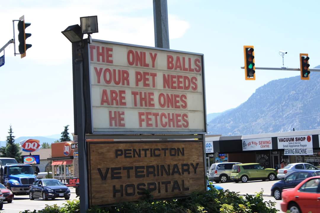 ScooperDooK9's tweet photo. @jimmyfallon #funnybillboards Funnysigns https://t.co/C9B0jMve7a