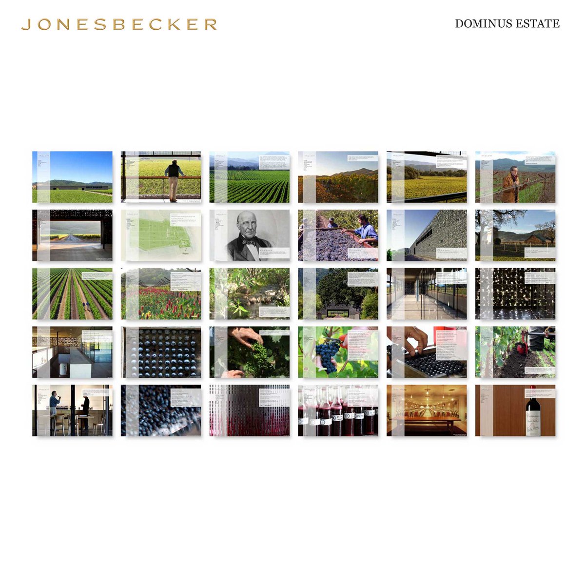 Jones_Becker's tweet photo. “A #wine is only as #good as the #grapes from which it is #produced”Christian Moueix #JonesBecker #designed #website https://t.co/1fA5T2U0sF