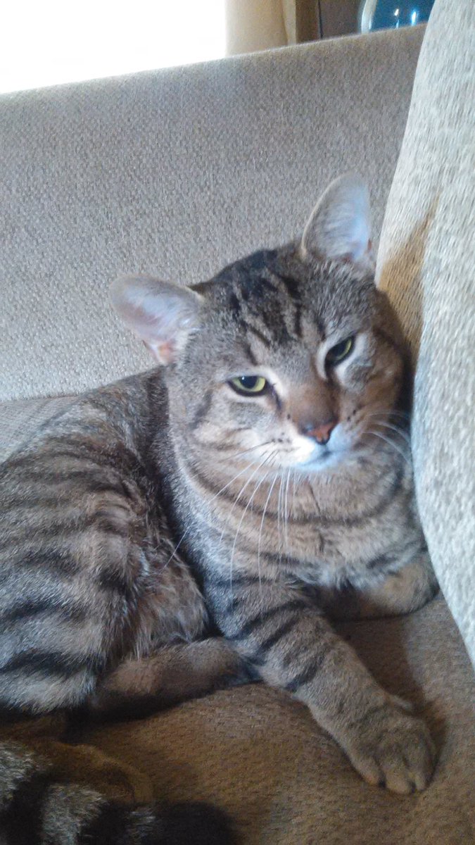 donboywhat's tweet image. 