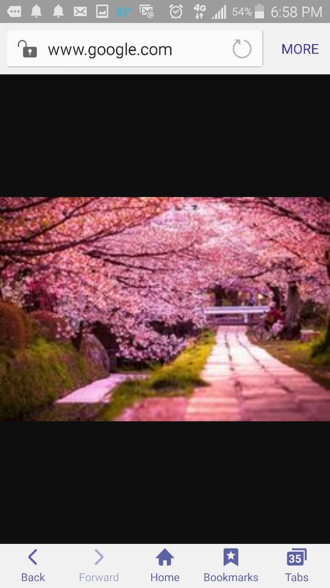 Absolutely breath taking