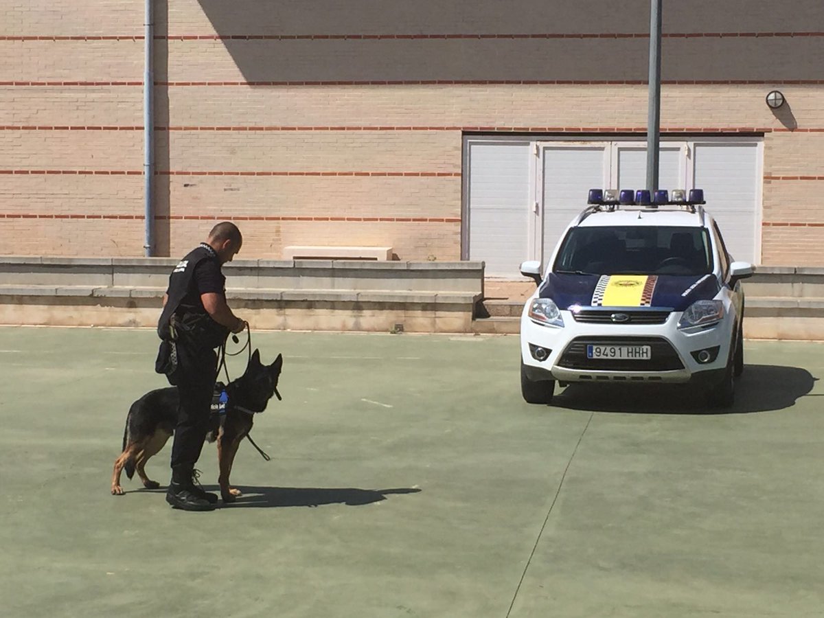 <a href="/PL_Rafelbunyol/">P.L Rafelbunyol</a>   Exhibición perros antidroga en el instituto