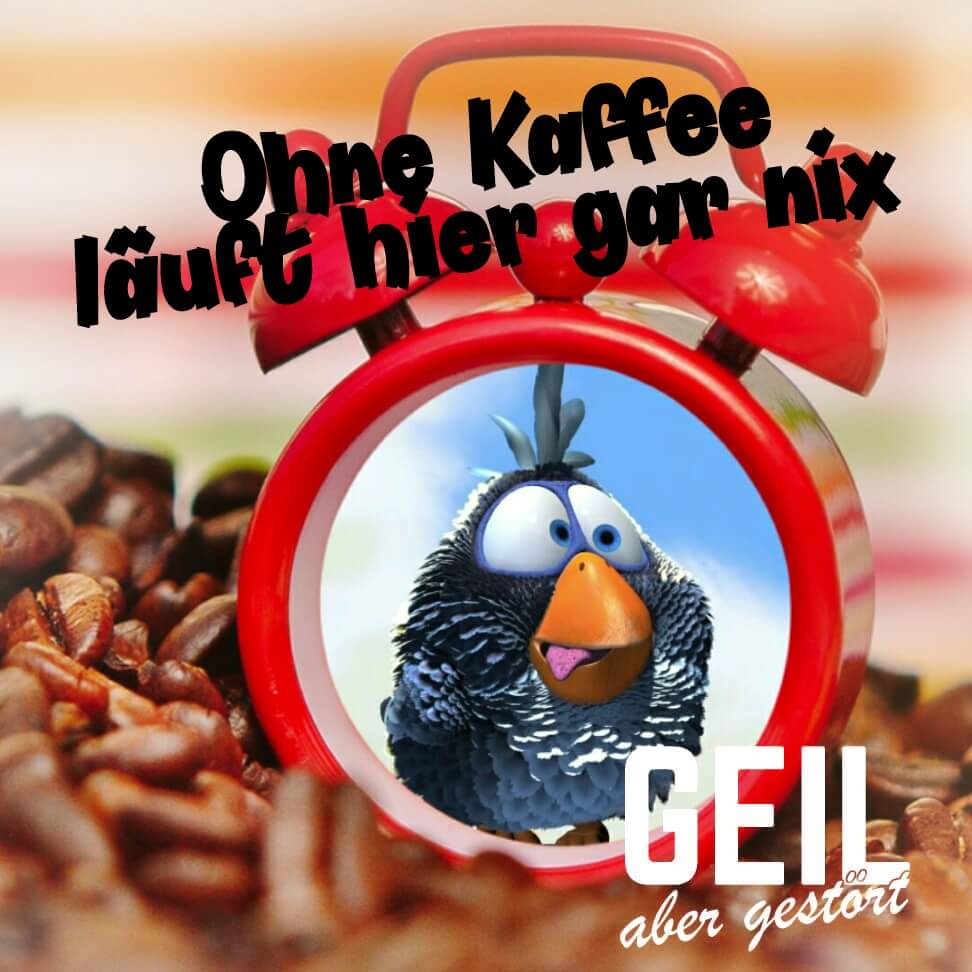 Schnattchen V Twitter Kuckuck Klein Ist Wieder Wach Guten Morgaahhnn Ihr Lieben Kaffee Ist Fertig Starten Wir Langsam In Den Mittwoch