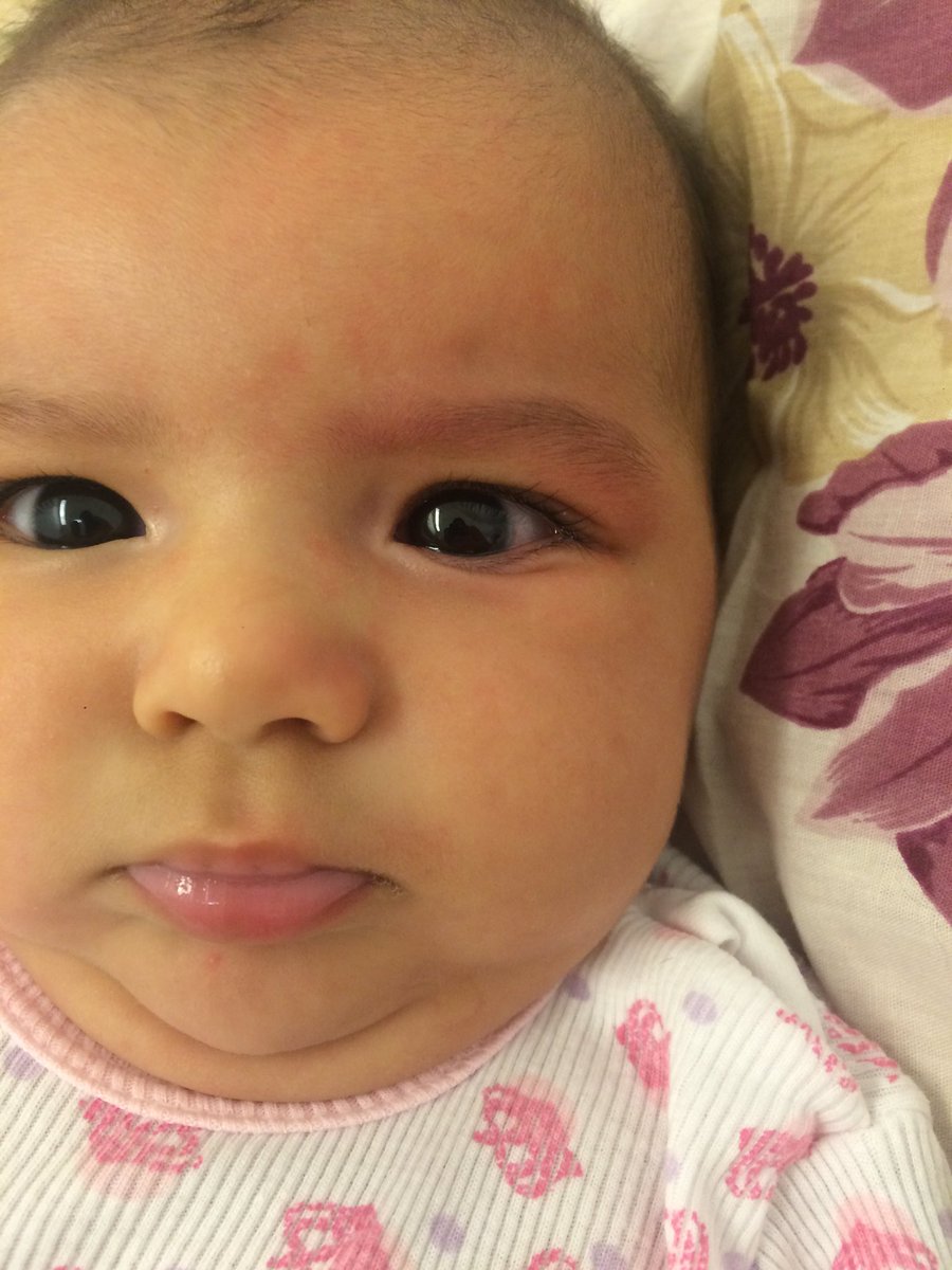 Lilibonsanto tweet picture
